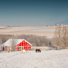 Rocky View County acreage